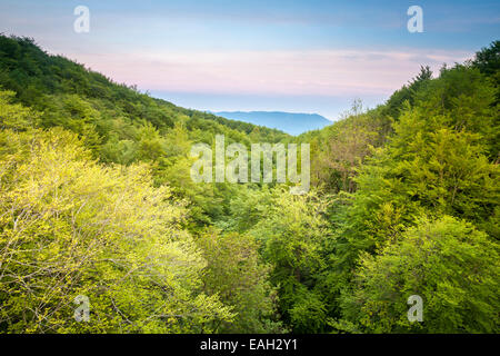 Santa Fe-Bereich am natürlichen Park von Montseny, Barcelona, Spanien Stockfoto