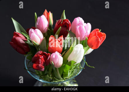 Verschiedene Tulpen in Glasvase auf dunklem Hintergrund Stockfoto