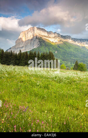 Mont Granier bei Sonnenuntergang, natürliche Parc La Chartreuse, Savoie, Rhône-Alpes, Frankreich Stockfoto