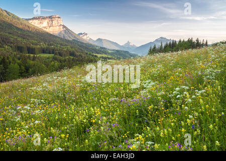 Mont Granier bei Sonnenuntergang, natürliche Parc La Chartreuse, Savoie, Rhône-Alpes, Frankreich Stockfoto