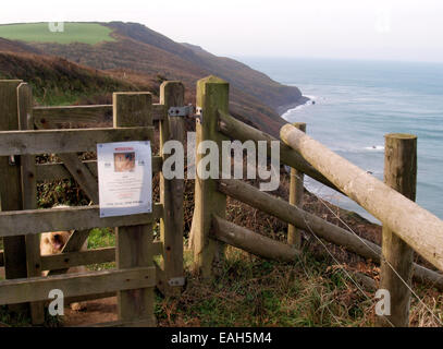 Hund vermisst Plakat an einem küssen Tor auf dem South West Coast Path, Millook, Bude, Cornwall, UK Stockfoto