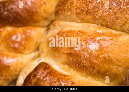 Traditionelle rumänische Weihnachten und Ostern Kuchen Cozonac Closeup Stockfoto