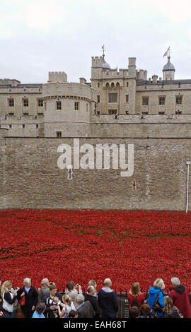 Besucher der Tower of London anzeigen die Kunstinstallation "Blut Mehrfrequenzdarstellung Länder und Meere of Red" in Gedenken an den ersten Weltkrieg Centenary 26. Oktober 2014 in London Der trockene Graben des Tower of London hat mit 888.246 Keramik Mohn, eine für jedes Briten und kolonialen gefüllt worden Todesfall während des Krieges. Stockfoto