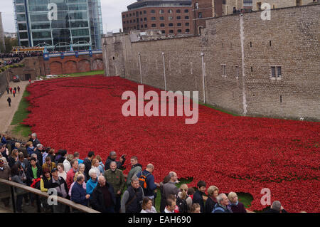 Besucher der Tower of London anzeigen die Kunstinstallation "Blut Mehrfrequenzdarstellung Länder und Meere of Red" in Gedenken an den ersten Weltkrieg Centenary 26. Oktober 2014 in London Der trockene Graben des Tower of London hat mit 888.246 Keramik Mohn, eine für jedes Briten und kolonialen gefüllt worden Todesfall während des Krieges. Stockfoto