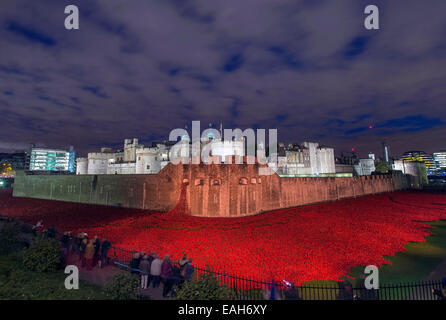 Besucher der Tower of London anzeigen die Kunstinstallation "Blut Mehrfrequenzdarstellung Länder und Meere of Red" in Gedenken an den ersten Weltkrieg Centenary in der Dämmerung 24. Oktober 2014 in London. Der trockene Graben des Tower of London hat mit 888.246 Keramik Mohn, eine für jedes Briten und kolonialen gefüllt worden Todesfall während des Krieges. Stockfoto