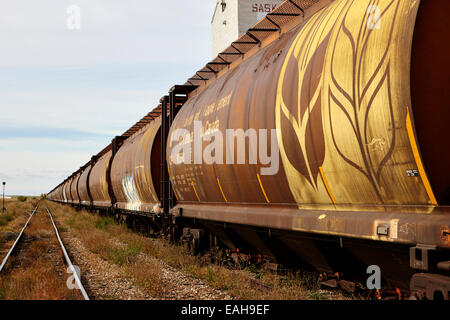 Fracht Getreidekipper auf ehemalige kanadische pazifische Eisenbahn jetzt große Sandhills Eisenbahn durch Führer Saskatchewan Kanada Stockfoto