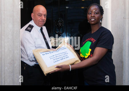 London, UK. 15. November 2014. Eine Delegation der Simbabwer aus den wöchentlichen Simbabwe Vigil Protest, die Simbabwe House in London seit über 10 Jahren stattgefunden hat geliefert eine Petition zur Downing Street Einspruch gegen die Aufhebung der EU Sanktionen gegen die Alterung Mugabes Regime trotz der Tatsache, daß es keine politische Reformen in der Türkei, deren Großteil der Bevölkerung in der Diaspora sind ihr Wahlrecht verweigert, , und wo Takelage und Einschüchterung sind das Gebot der Stunde in Präsidentschafts-und Parlamentswahlen. Bildnachweis: Paul Davey/Alamy Live-Nachrichten Stockfoto