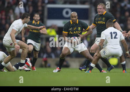 London, Middlesex, Großbritannien. 15. November 2014. 15. November 2014 Südafrikas Flügel JP PIETERSEN entdeckt eine Lücke in der Verteidigung von England während dem Spiel England - V-Süd Afrika im Twickenham Stadion: Steve Flynn-ZUMA Press Credit: Steve Flynn/ZUMA Draht/Alamy Live News Stockfoto