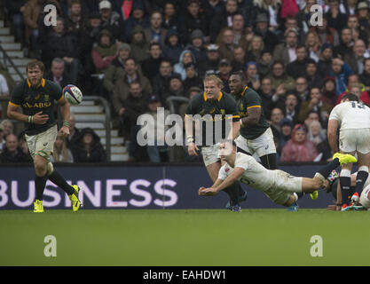 London, Middlesex, Großbritannien. 15. November 2014. 15. November 2014 England Scrum-Hälfte DANNY CARE wirft einen Tauchen-Pass während dem Spiel England - V-Süd Afrika im Twickenham Stadion: Steve Flynn-ZUMA Press Credit: Steve Flynn/ZUMA Draht/Alamy Live News Stockfoto