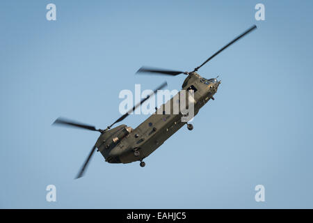 Fairford, UK - 12. Juli 2014: ein RAF Chinook Hubschrauber anzeigen bei der Royal International Air Tattoo. Stockfoto