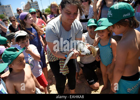 Montevideo, Uruguay. 15. November 2014. Ein freiwilliger zeigt eine Meeresschildkröte Kinder während einer Veranstaltung der Freigabe von Meeresschildkröten und Reinigung der Strände in Montevideo, der Hauptstadt von Uruguay, am 15. November 2014. Bildnachweis: Nicolas Celaya/Xinhua/Alamy Live-Nachrichten Stockfoto