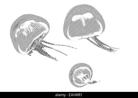 Wort Quallen gemischt, um die Abbildung von Quallen mit Typografie Stil, isoliert auf weißem Hintergrund werden Stockfoto