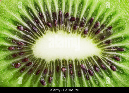 Scheibe Kiwifrucht. Hintergrund für Ihr Design. Makro Stockfoto