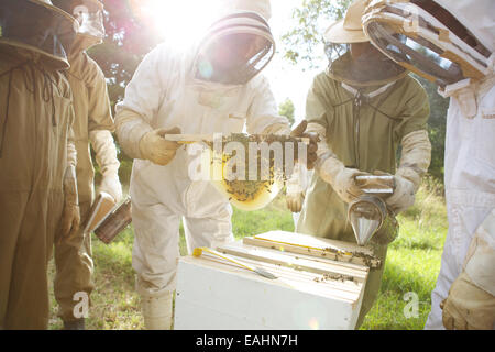 Die Methode der Top-Bar Imkerei erlernen Kenianer.  Baum des Lebens Imkerei lehrt diese Methode der Bienenzucht in ganz Ostafrika Stockfoto