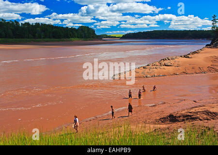 Familie Baden in den trüben Gewässern des Flusses Shubenacadie im Süden Maitland, Landstraße 236, Fundy Shore Ecotour Glooscap Trail Stockfoto