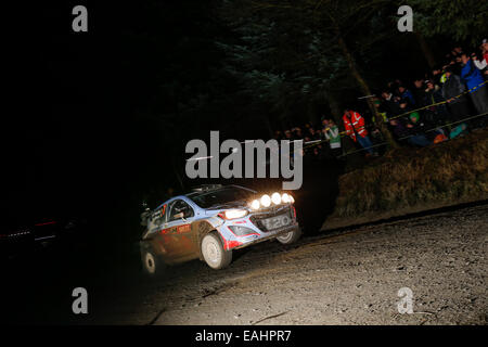 Llangadfan Wales. 15. November 2014. FIA World Rally Championship, Wales Rallye GB. Thierry Neuville und Nicolas Gilsoul Belgiens treten im Hyundai Motorsport i20 WRC bei der Dyfnant 2 Nacht am dritten Tag. Bildnachweis: Aktion Plus Sport/Alamy Live-Nachrichten Stockfoto