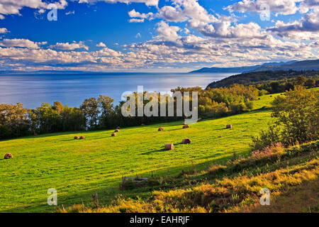 Küste des St. Lawrence River entlang der Marine Park Drive, Highway 138, Charlevoix, Quebec, Kanada. Stockfoto