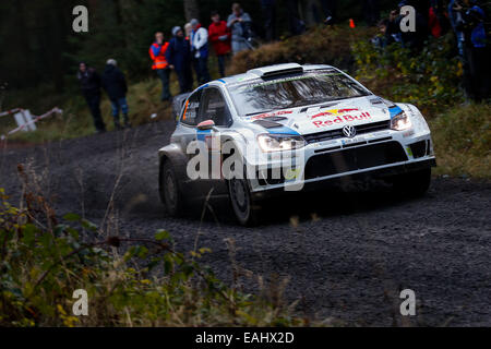 Clocaenog, Wales. 15. November 2014. FIA World Rally Championship, Wales Rallye GB. Jari-Matti Latvala und Miikka Anttila Finnlands konkurrieren in der Volkswagen Motorsport Polo R WRC in der Clocaenog Ost 1 Phase am dritten Tag. Bildnachweis: Aktion Plus Sport/Alamy Live-Nachrichten Stockfoto