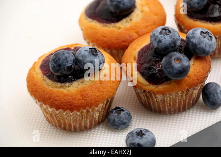 Einen Blueberry Muffin mit Heidelbeeren im Hintergrund. Stockfoto