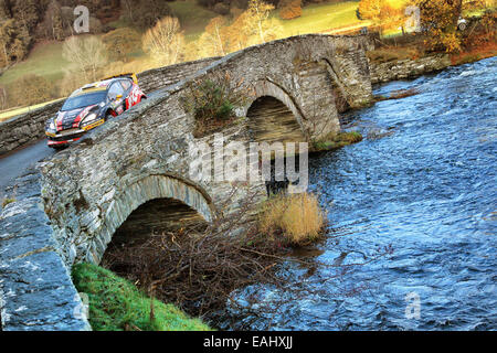 Clocaenog, Wales. 15. November 2014. FIA World Rally Championship, Wales Rallye GB. Martin Prokop (CZE) und Jan Tomanek (CZE) - Ford Fiesta WRC Credit: Action Plus Sport/Alamy Live News Stockfoto