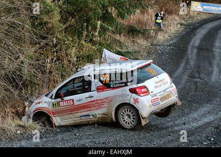 Clocaenog, Wales. 15. November 2014. FIA World Rally Championship, Wales Rallye GB. Haapamaki - Salminen schieben Sie abseits der Straße in einen Unfall und benötigen die Menge um sie aus dem Graben Credit schieben: Action Plus Sport/Alamy Live News Stockfoto