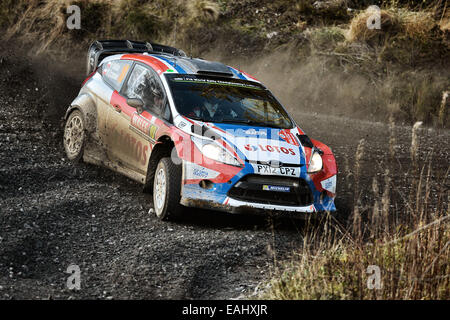 Clocaenog, Wales. 15. November 2014. FIA World Rally Championship, Wales Rallye GB. Robert Kubica (POL) - SZPA (POL) - Ford Fiesta WRC Credit: Aktion Plus Sport/Alamy Live-Nachrichten Stockfoto