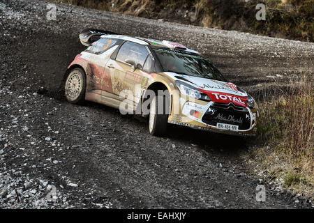 Clocaenog, Wales. 15. November 2014. FIA World Rally Championship, Wales Rallye GB. Kris Meeke (IRL) / Paul Nagle (GB) - Citroen DS3 WRC Credit: Action Plus Sport/Alamy Live News Stockfoto