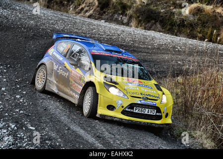 Clocaenog, Wales. 15. November 2014. FIA World Rally Championship, Wales Rallye GB. M. Wilson - Ford Fiesta Credit: Aktion Plus Sport/Alamy Live-Nachrichten Stockfoto