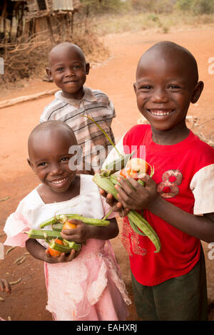 Kinder halten Sie frisch geerntete Gemüse in Makueni County, Kenia, Ostafrika. Stockfoto