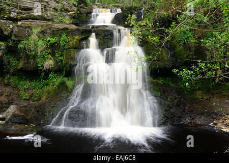 Glenbarrow Wasserfall Slieve Bloom Mountains Clonaslee Laois Irland Barrow Fluss Fluss fällt Wasserfälle RM Irland Stockfoto