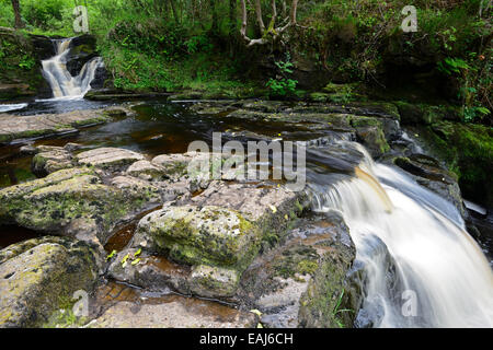 Glenbarrow Wasserfall Slieve Bloom Mountains Clonaslee Laois Irland Barrow Fluss Fluss fällt Wasserfälle RM Irland Stockfoto