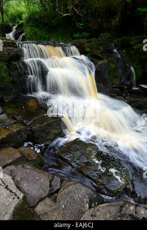 Glenbarrow Wasserfall Slieve Bloom Mountains Clonaslee Laois Irland Barrow Fluss Fluss fällt Wasserfälle RM Irland Stockfoto