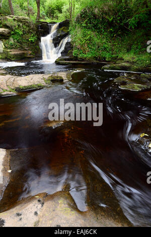 Glenbarrow Wasserfall Slieve Bloom Mountains Clonaslee Laois Irland Barrow Fluss Fluss fällt Wasserfälle RM Irland Stockfoto