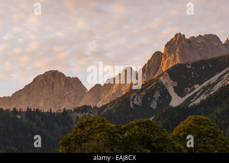 Tal der Ramsau am Dachstein, Bäume Acer Pseudoplatanus, Steiermark, Österreich, Ramsau Stockfoto