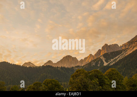 Tal der Ramsau am Dachstein, Bäume Acer Pseudoplatanus, Steiermark, Österreich, Ramsau Stockfoto