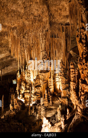 Stalaktiten und Stalagmiten in coves del Drach auf Mallorca, mit einer der größten unterirdischen Salzseen in der Welt Stockfoto