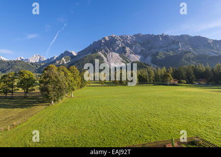 Tal der Ramsau am Dachstein, Bäume Acer Pseudoplatanus, Steiermark, Österreich, Ramsau Stockfoto