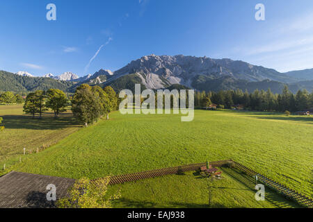 Tal der Ramsau am Dachstein, Bäume Acer Pseudoplatanus, Steiermark, Österreich, Ramsau Stockfoto