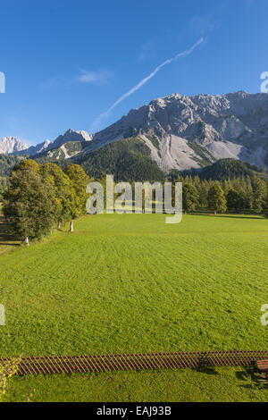 Tal der Ramsau am Dachstein, Bäume Acer Pseudoplatanus, Steiermark, Österreich, Ramsau Stockfoto