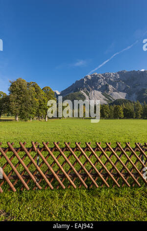 Tal der Ramsau am Dachstein, Bäume Acer Pseudoplatanus, Steiermark, Österreich, Ramsau Stockfoto