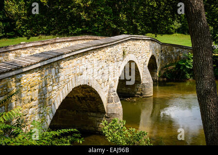 Niedrigere Brücke (Burnside Bridge), Antietam National Battlefield, Sharpsburg, MD Stockfoto