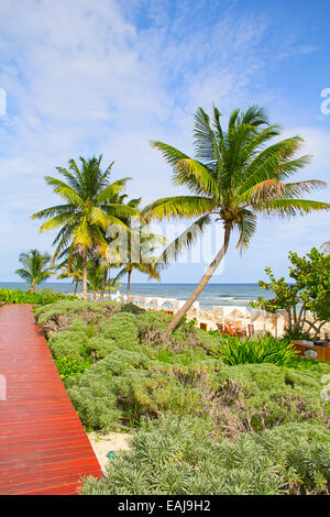 Sandstrand in Cancun, Mexiko Stockfoto
