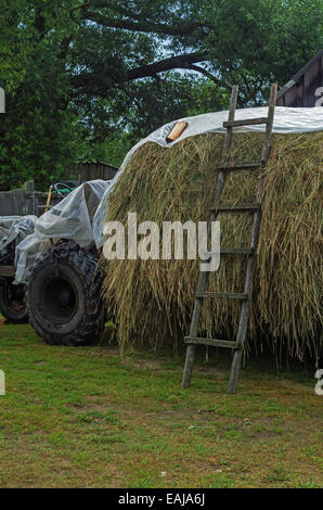 Dorfbild. Alten Traktor mit einem Heuhaufen auf den Trailer und eine Leiter. Stockfoto