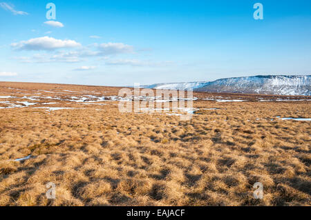 Großer blauer Himmel über einer Moorlandschaft mit Ende des Winterschnee und bunten Moorland Gräser. Stockfoto