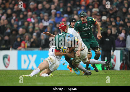 Leicester, UK. 16. November 2014. Aviva Premiership. Leicester Tigers gegen Sarazenen. Jordan Crane (Leicester) läuft in die Sarazenen-Doppel-Tackle-Verteidigung. Bildnachweis: Aktion Plus Sport/Alamy Live-Nachrichten Stockfoto