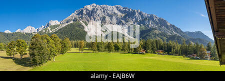 Tal der Ramsau am Dachstein, Bäume Acer Pseudoplatanus, Steiermark, Österreich, Ramsau Stockfoto