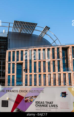 Francis Crick Institute - London