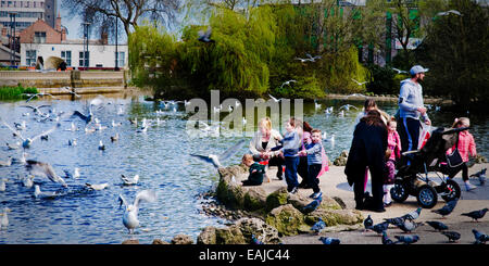 Eine junge Familie füttern die Enten in Mowbray Park, Sunderland in Großbritannien Stockfoto