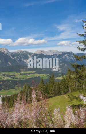 Planai, Blick in die Alpen, Österreich, Steiermark Stockfoto