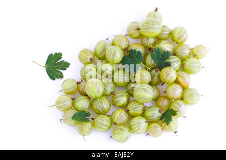 Frische grüne Stachelbeere isoliert auf weißem Hintergrund, Früchte Stockfoto